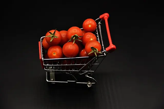 shopping venture 5187701 640 1